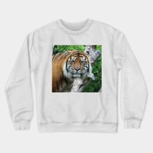 Eye Contact Crewneck Sweatshirt